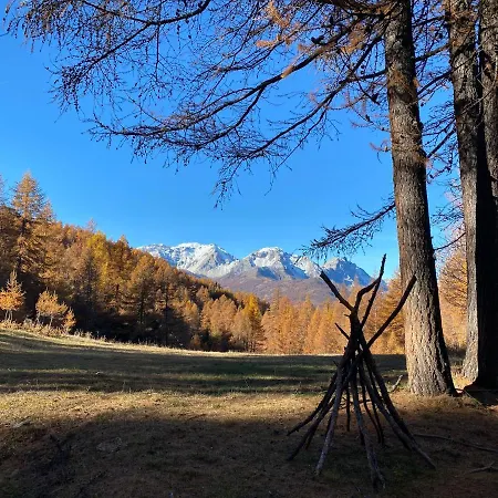 Orso Bianco &