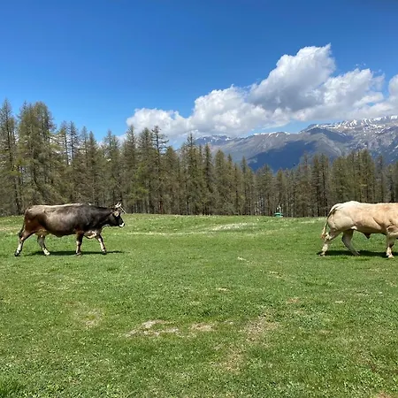 מלון Orso Bianco & Oulx