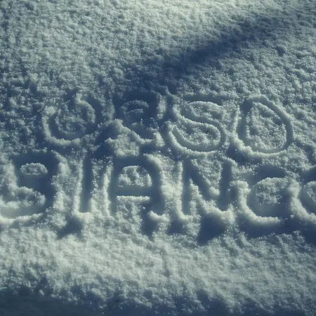 Orso Bianco & * Oulx