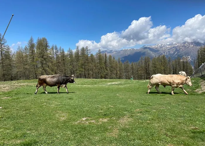 Ξενοδοχείο Orso Bianco & Oulx
