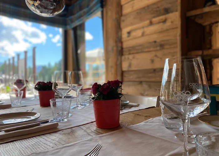 Orso Bianco & * Oulx