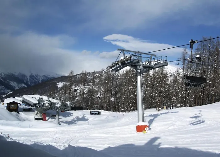 Orso Bianco &