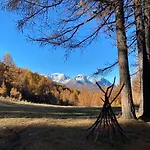 Orso Bianco &