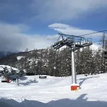 Orso Bianco &