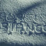 Orso Bianco & * Oulx