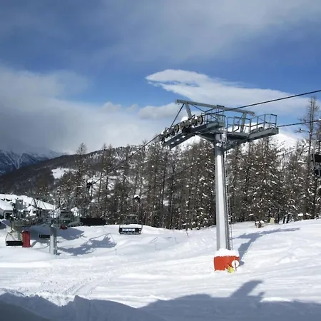 Orso Bianco &