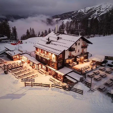 Orso Bianco & * Oulx