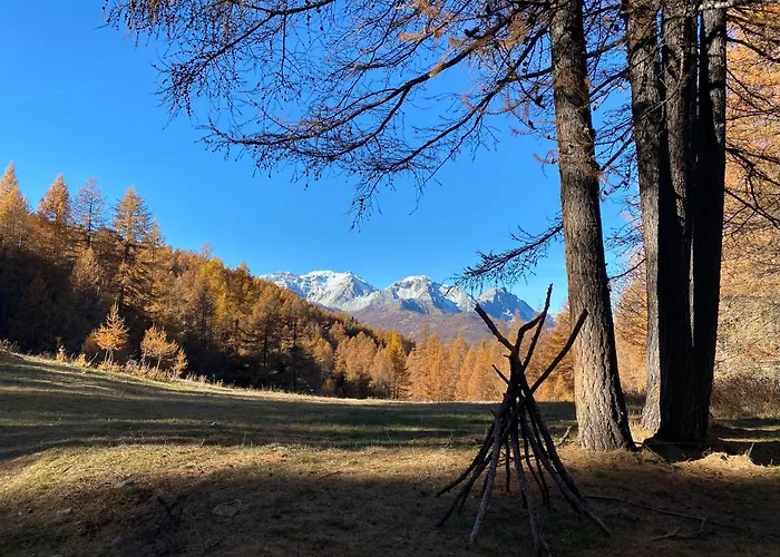 Orso Bianco &
