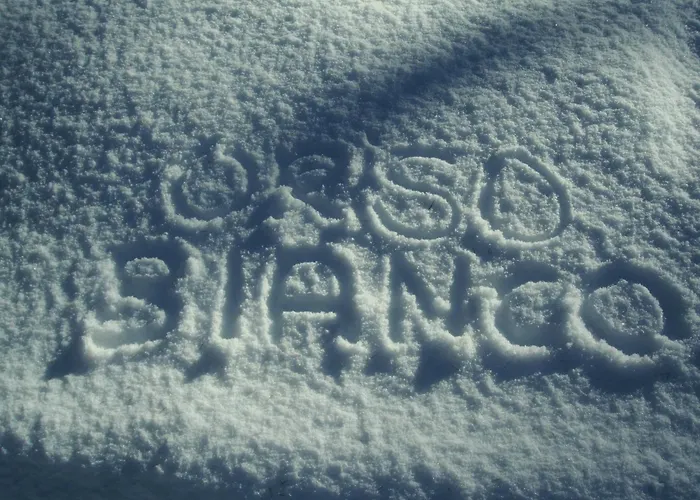 Orso Bianco & * Oulx