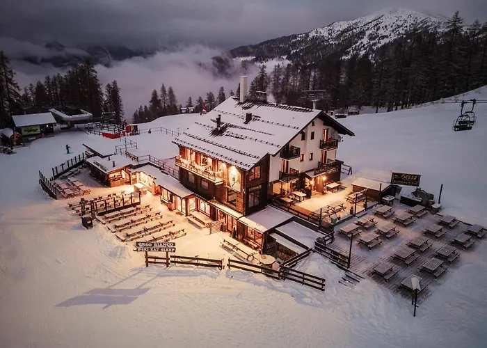 Orso Bianco & * Oulx